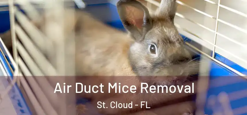 Air Duct Mice Removal St. Cloud - FL