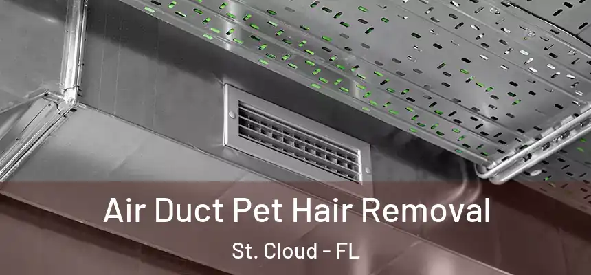 Air Duct Pet Hair Removal St. Cloud - FL