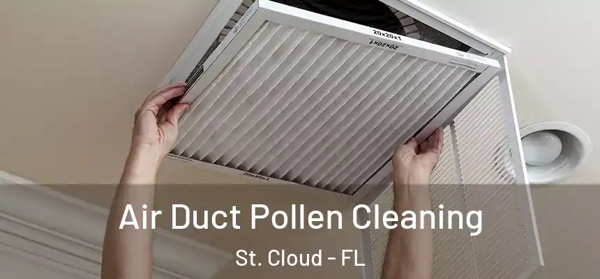 Air Duct Pollen Cleaning St. Cloud - FL