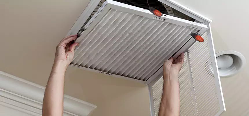 Our Insect Removal from Air Ducts Services in St. Cloud, FL