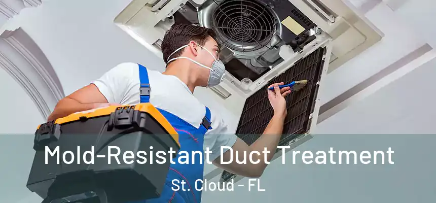 Mold-Resistant Duct Treatment St. Cloud - FL