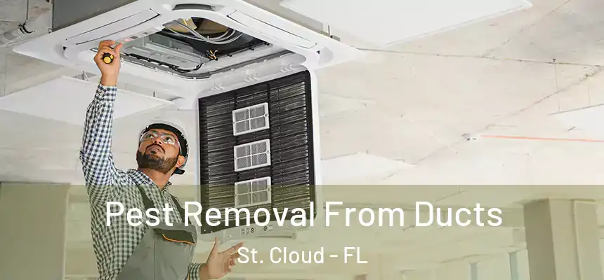 Pest Removal From Ducts St. Cloud - FL