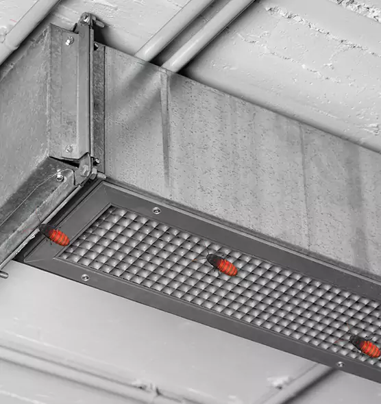 Affordable Insect Removal from Air Ducts in St. Cloud, FL