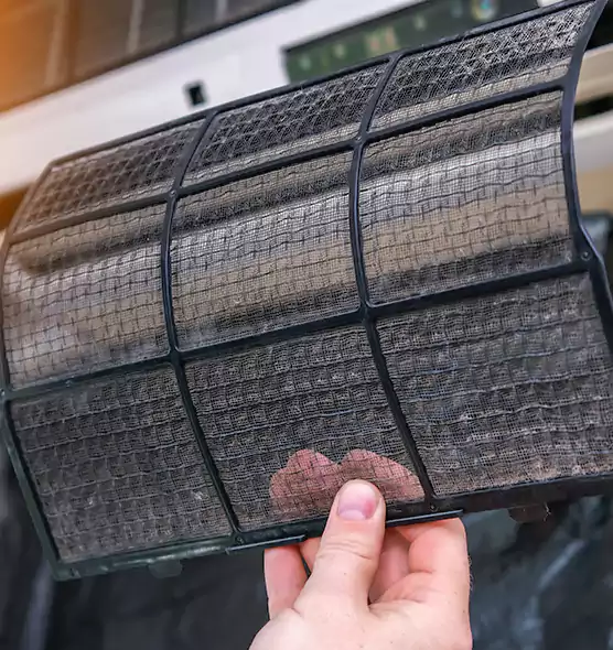 About Pet Dander Duct Cleaning in St. Cloud, FL